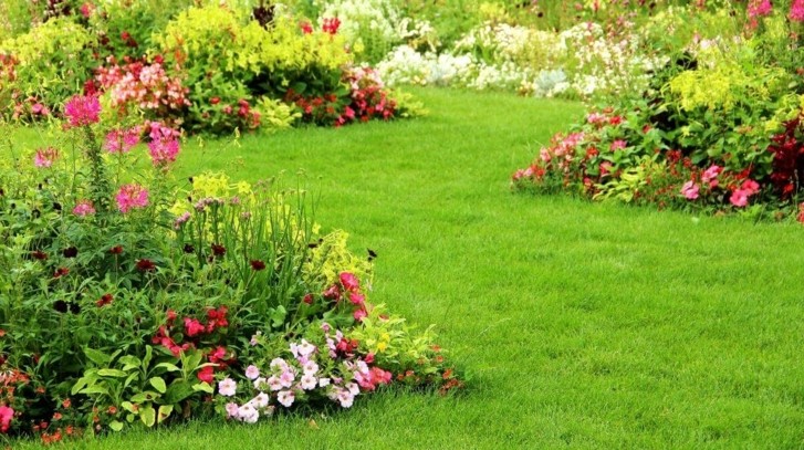 Kwiaty kwitnące całe lato - co polecamy do ogrodu?