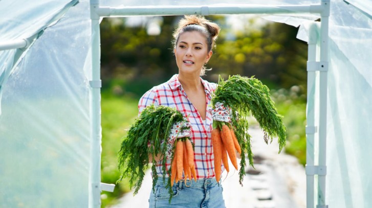 Jaki tunel foliowy kupić? Sprawdź, na co zwrócić uwagę!