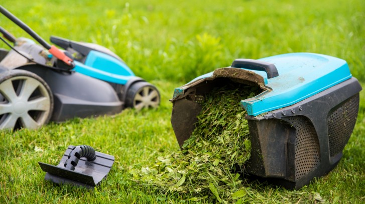 Co zrobić ze skoszoną trawą? Dowiedz się, jak ją wykorzystać!