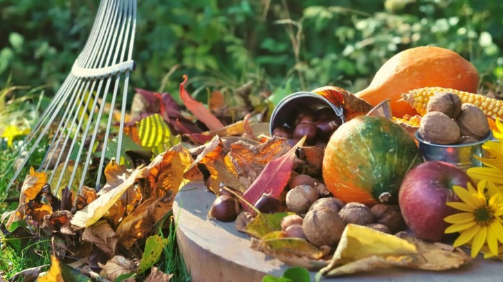 Jesienne dekoracje w ogrodzie - 6 pomysłów