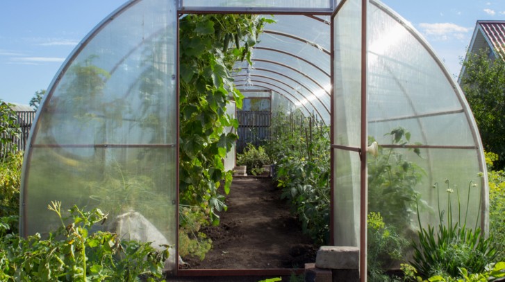 Budowa szklarni – kompleksowy poradnik DIY