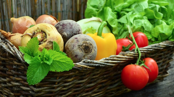 Tunel foliowy, czyli cieplarniane warunki dla Twoich roślin