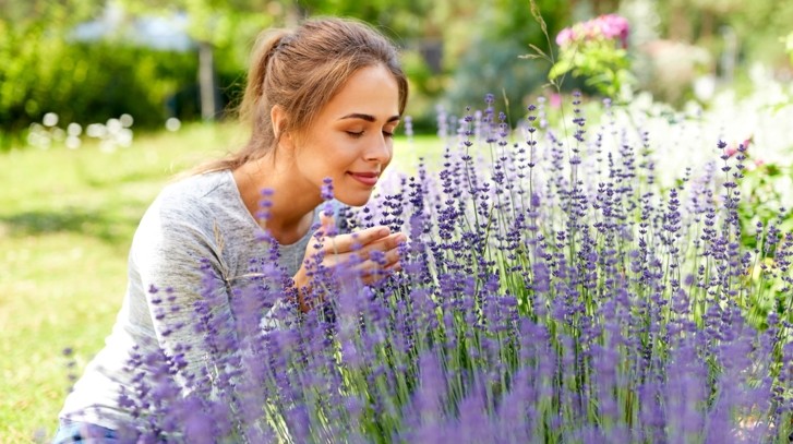 Jakie pachnące kwiaty na balkon i do ogrodu wybrać? Sprawdź 17 propozycji roślin!
