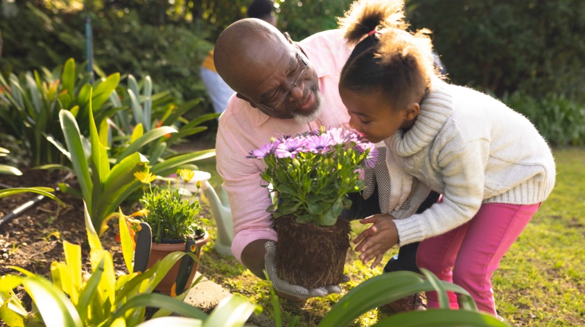 Czym jest ogród sensoryczny i jak go zaprojektować?