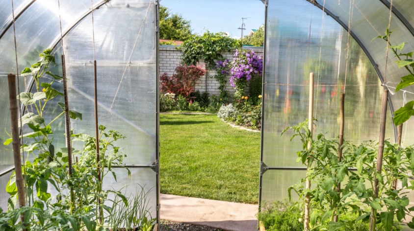 Jaka folia na szklarnię lub tunel? Podpowiadamy, co wybrać