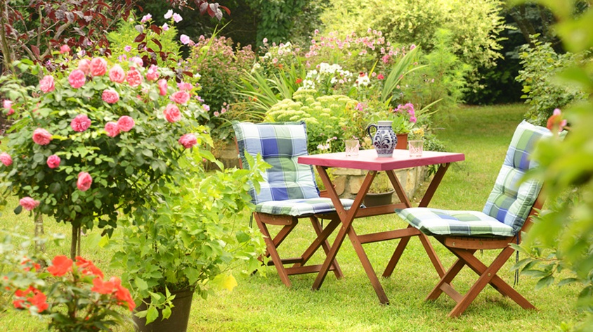 Jak czyścić drewniane meble? Pielęgnacja drewna w ogrodzie