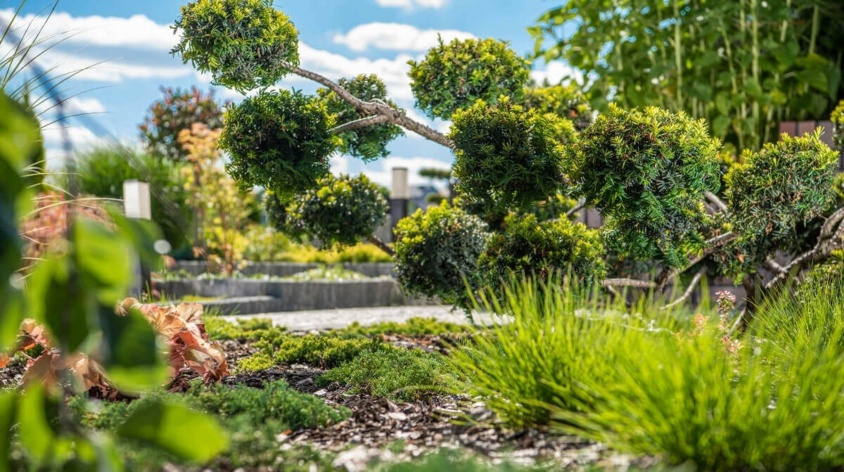 Inteligentny ogród - poznaj najbardziej użyteczne funkcje