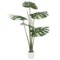 Sztuczna monstera 170 cm