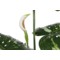 Sztuczna monstera 170 cm