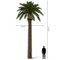 Sztuczna palma daktylowa 8 m