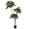 Sztuczne drzewo oliwne wielopienne 180 cm 