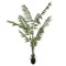 Sztuczna paproć 210 cm