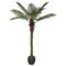 Sztuczna palma na pniu 200 cm