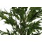 Sztuczny eukaliptus 180 cm