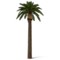 Sztuczna palma daktylowa 10 m