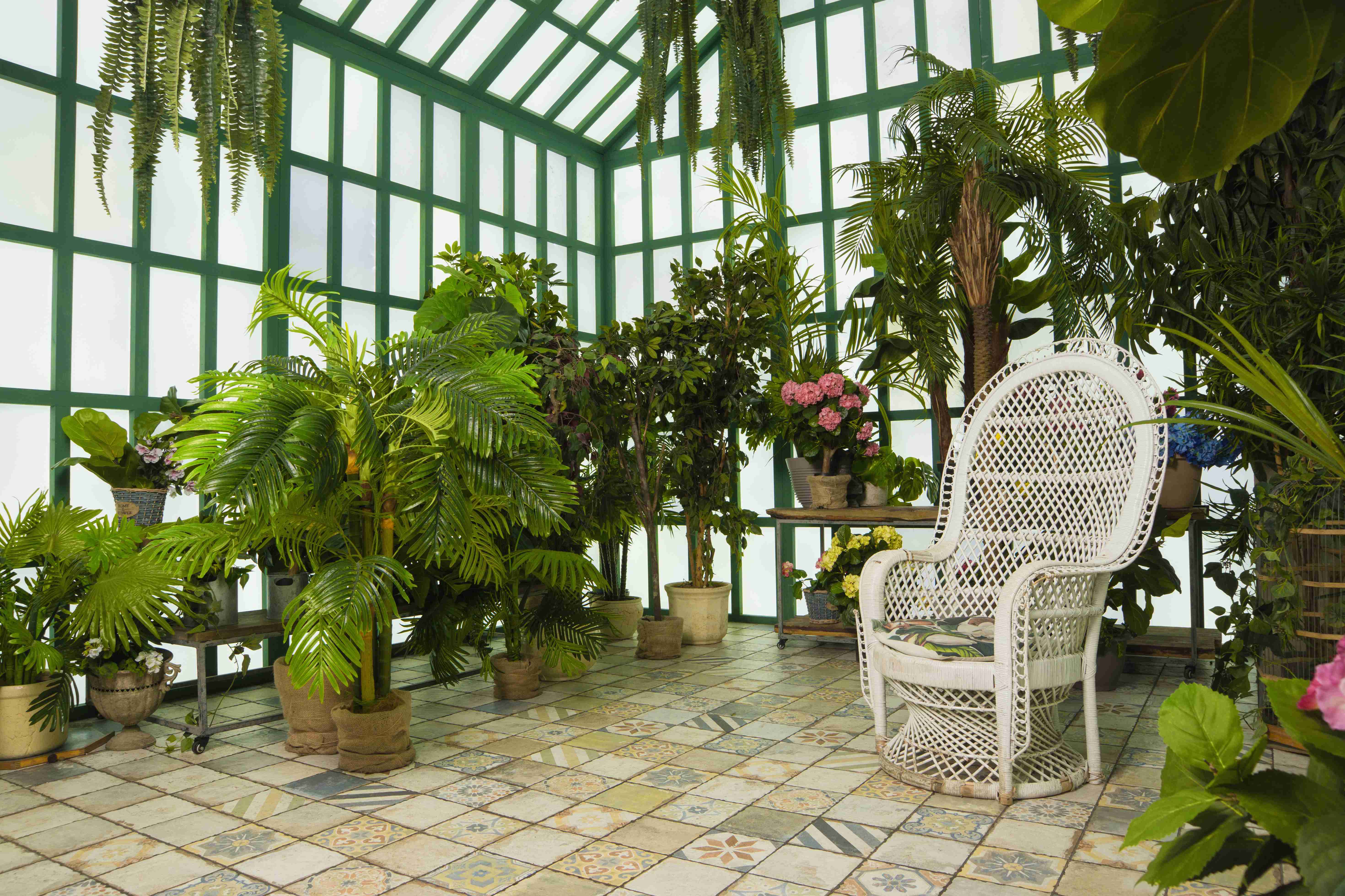 zielony ogród zimowy