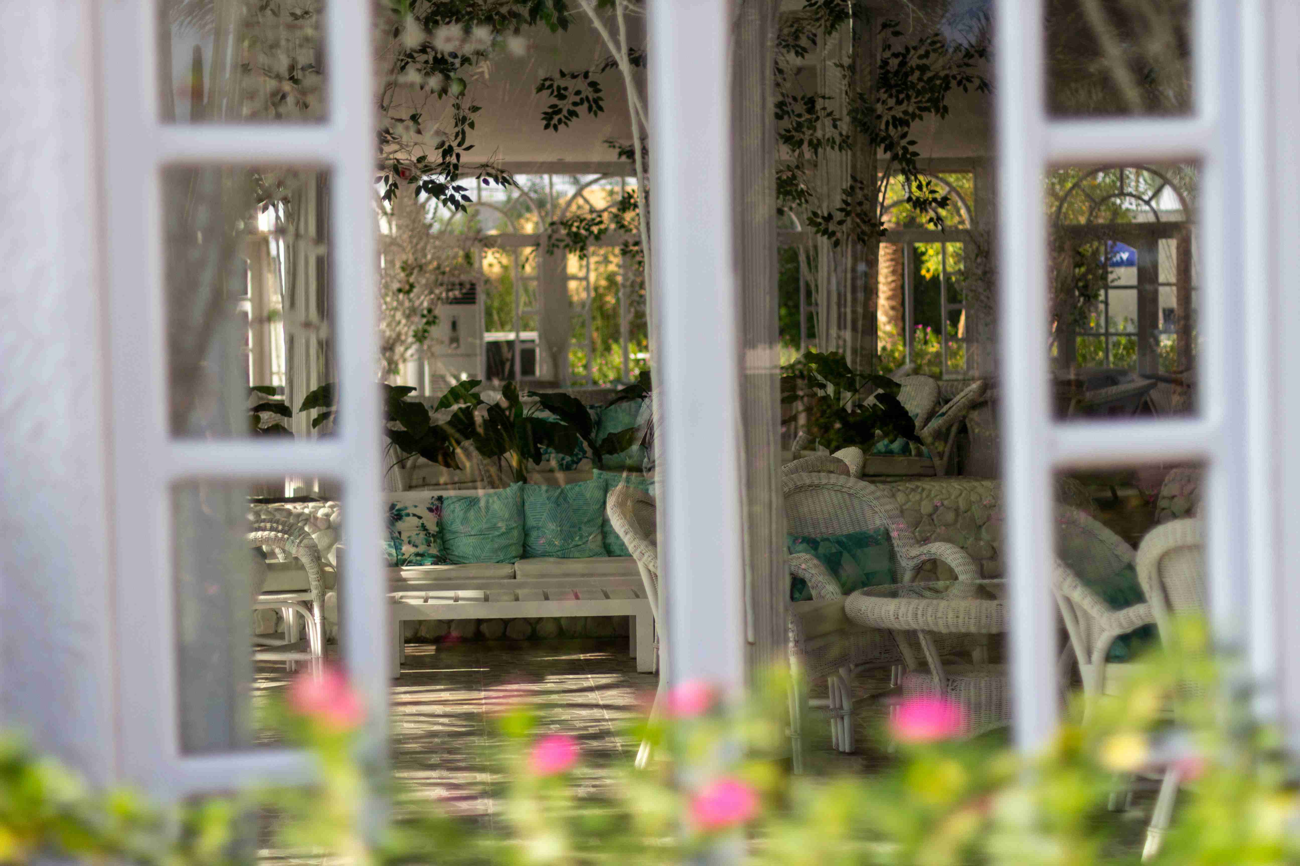 widok na oranżerię przy domu