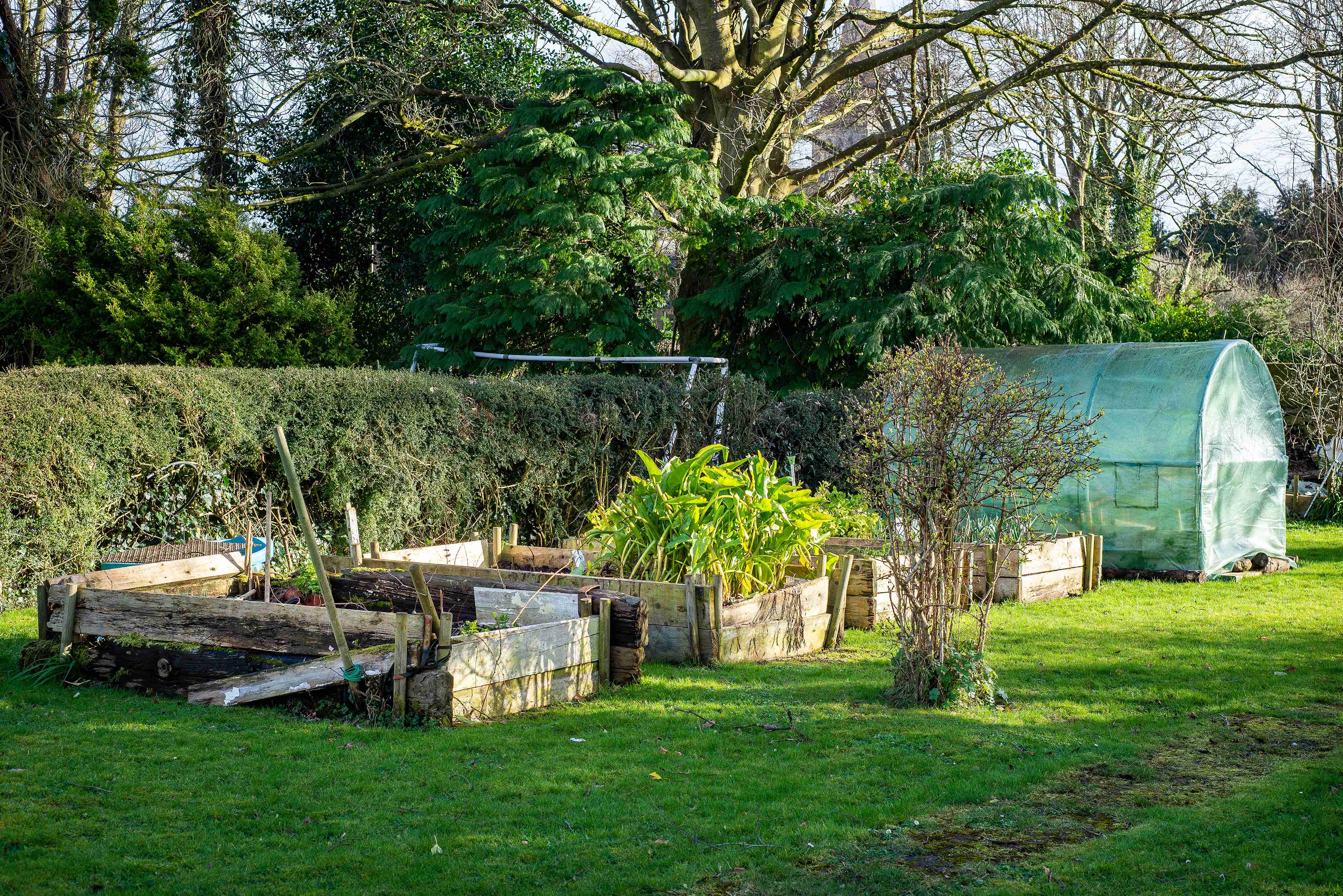 ogród z tunelem foliowym