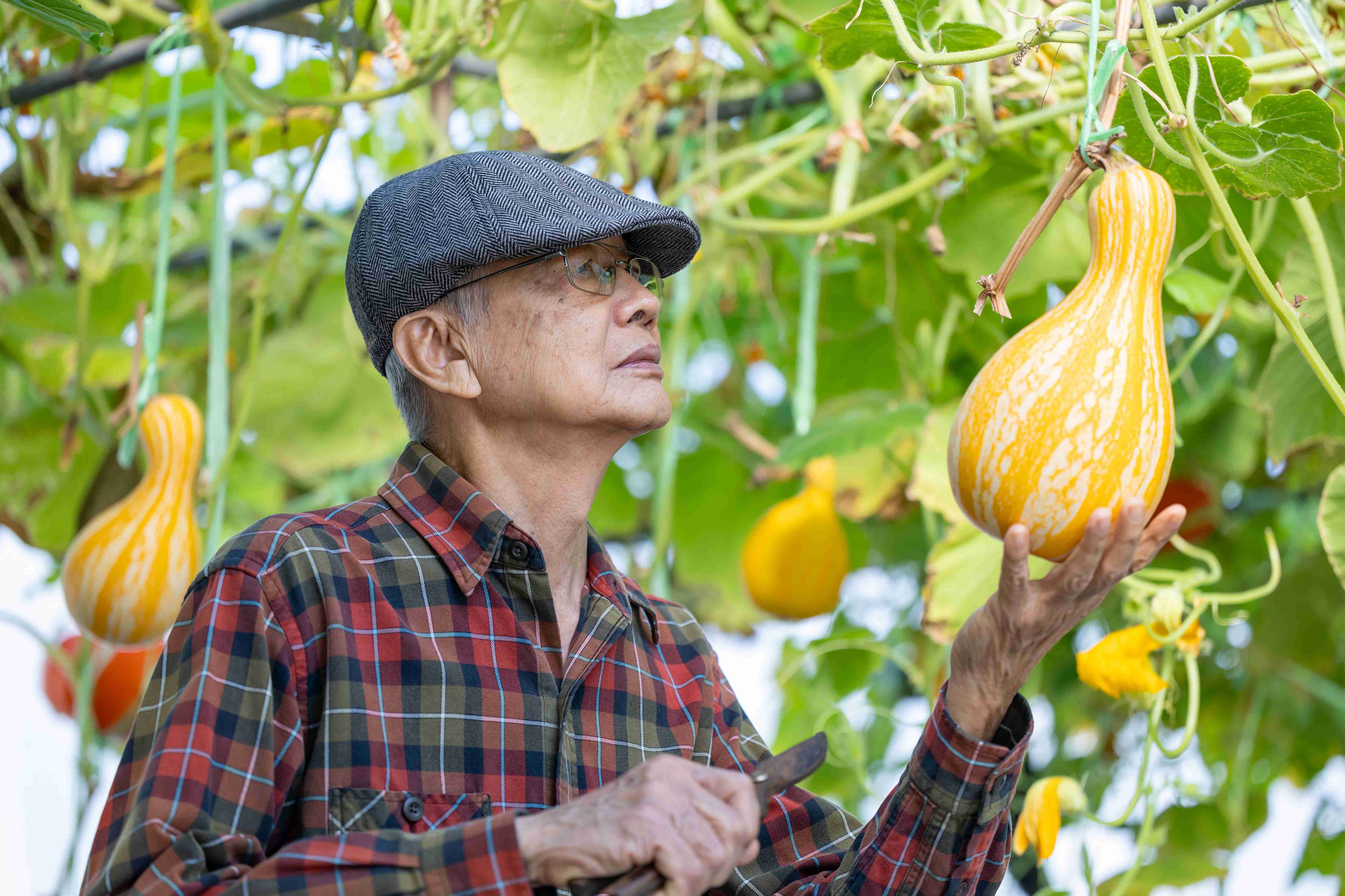 mężczyzna w tunelu foliowym