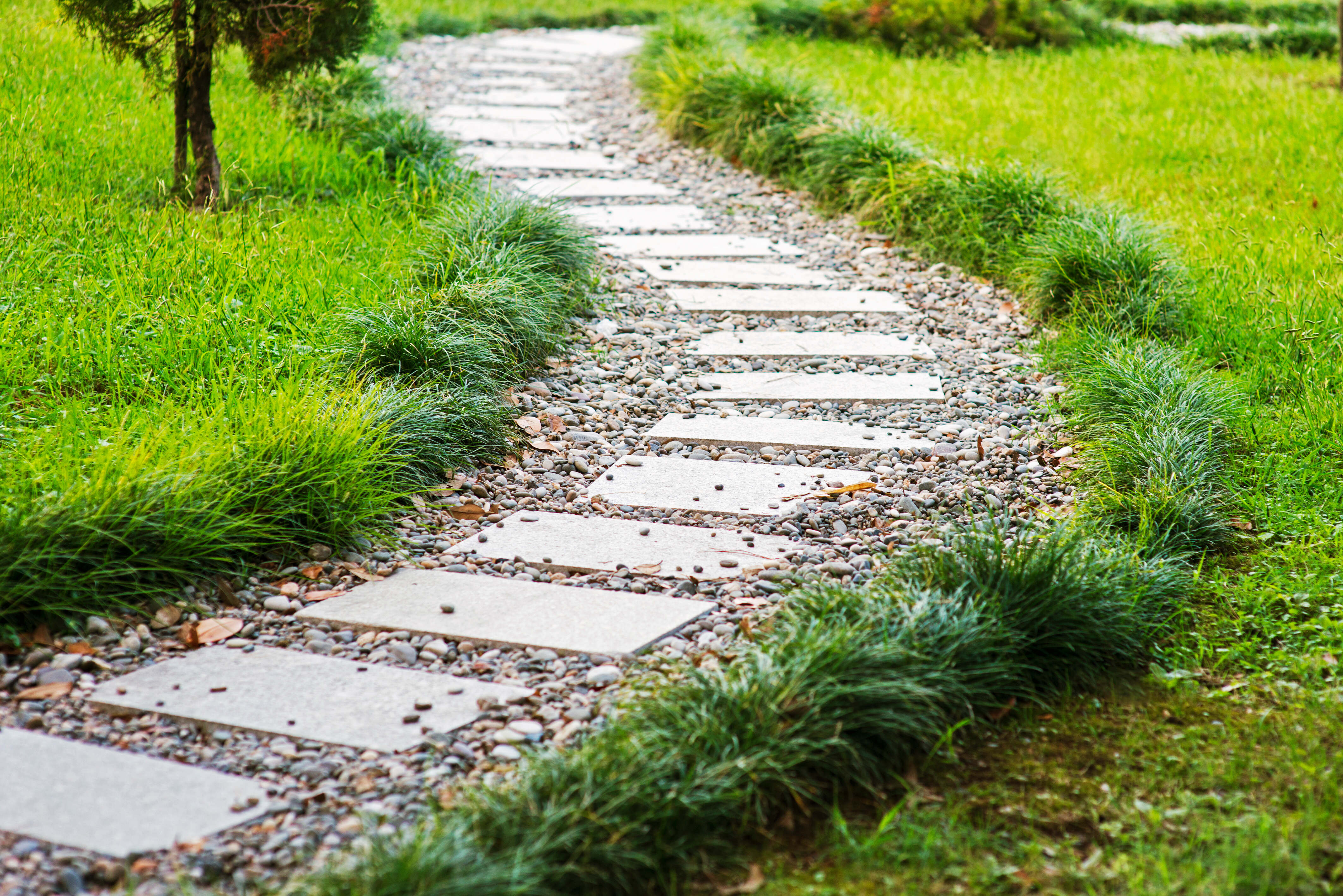 Czym Jest Ogr d Sensoryczny I Jak Go Zaprojektowa HOME GARDEN Czym Jest Ogr d Sensoryczny I Jak Go Zaprojektowa HOME GARDEN