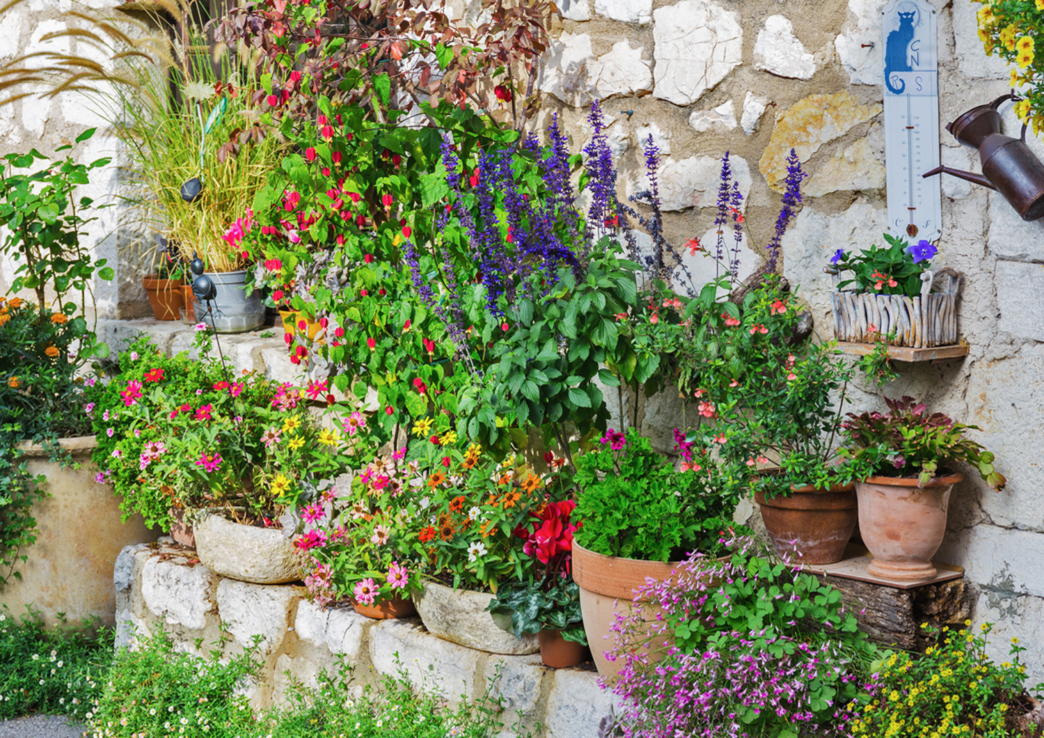 ogr-d-r-dziemnomorski-styl-ro-linno-i-aran-acje-home-garden